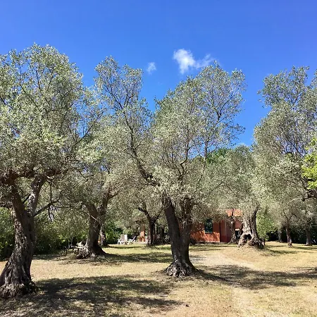 Gaia With Sea View, Fenced Garden By Toscanatour Casa de Férias Guardistallo